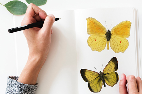 Auch der Grafikdesigner braucht eine gute Versicherung - wir zeigen welche Berufshaftpflichtversicherung für Dich als Designer am Besten geeignet ist! Grafiker auf dem Web zum Versicherungsberater für eine Haftpflichtversicherung