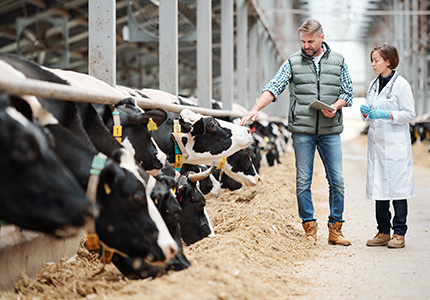 Land-Tierärztin spricht gut versichert und sorglos mit ihrem Kunden